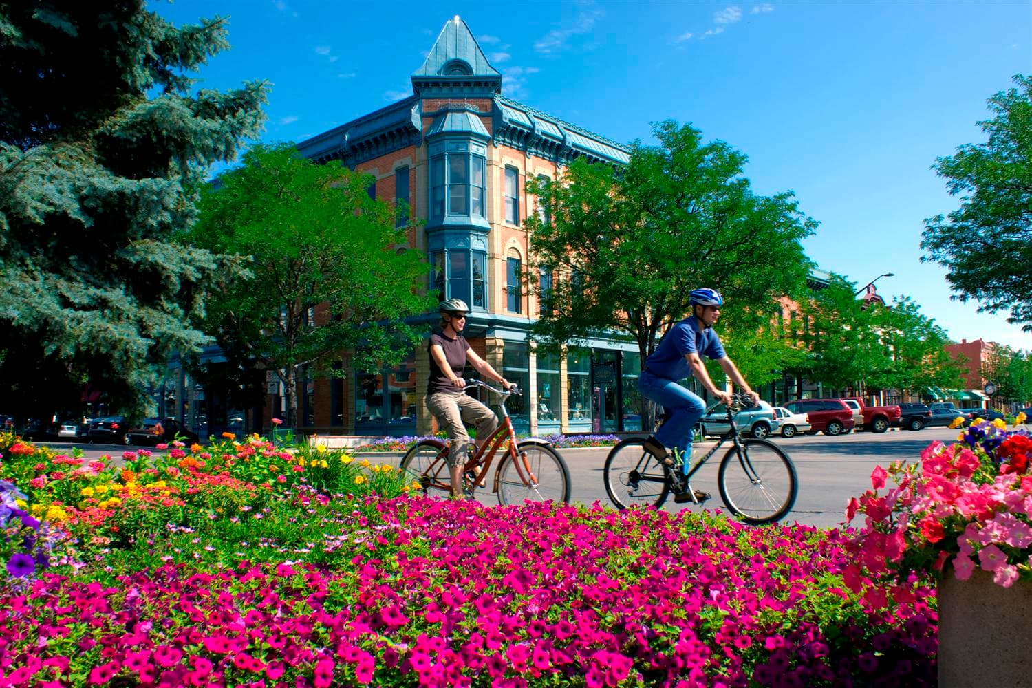 Fort Collins — widok ilustracyjny