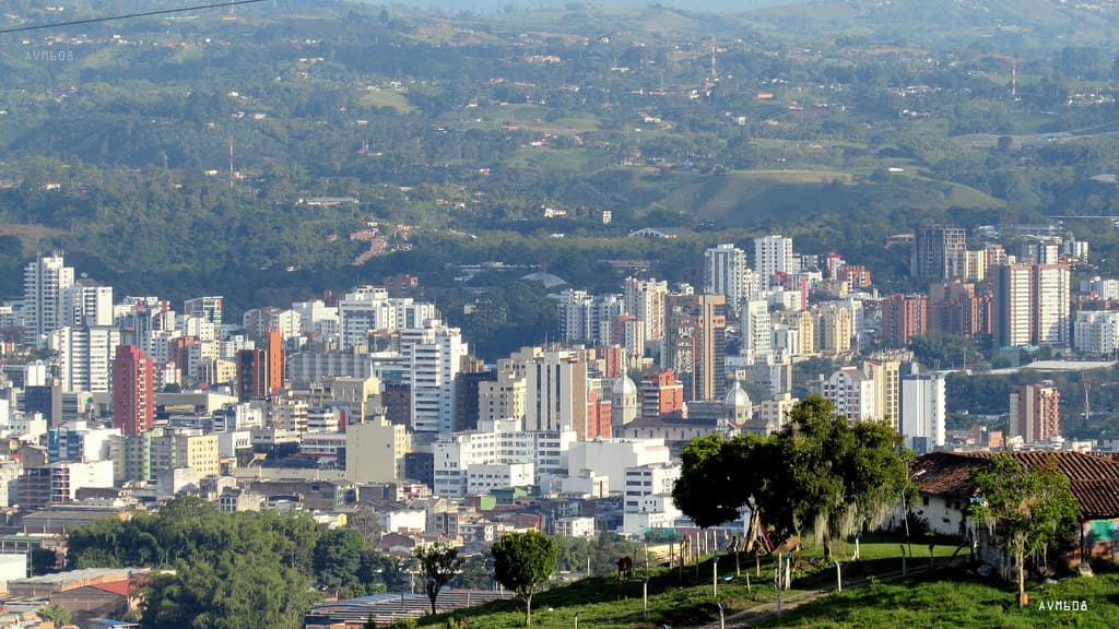 Pereira — imagem ilustrativa