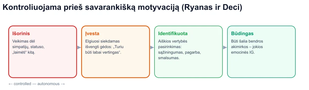 Apsisprendimo tęstinumas: išorinis, introjekcinis, identifikuotas, vidinis – viruso instruktavimas kontroliuojamoje pusėje